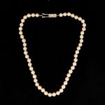 973 7151 PEARL NECKLACE